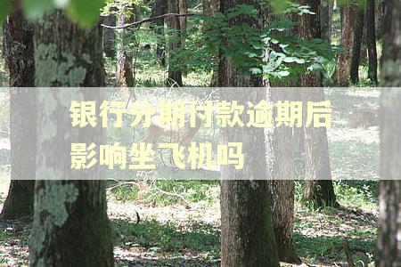 银行分期付款逾期后影响坐飞机吗