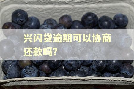 兴闪贷逾期可以协商还款吗?