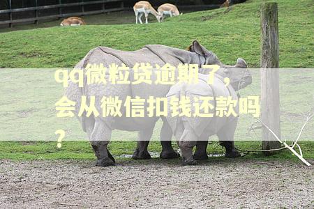 qq微粒贷逾期了,会从微信扣钱还款吗? qq微粒贷逾期了,会从微信扣钱还款吗?