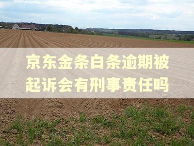 京东金条白条逾期被起诉会有刑事责任吗