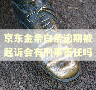 京东金条白条逾期被起诉会有刑事责任吗