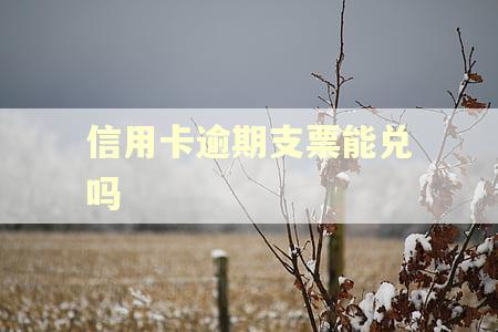 信用卡逾期支票能兑吗
