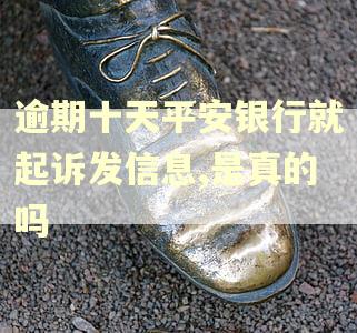 逾期十天平安银行就起诉发信息,是真的吗