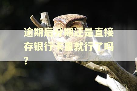 逾期后分期还是直接存银行卡里就行了吗？