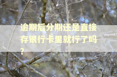 逾期后分期还是直接存银行卡里就行了吗？