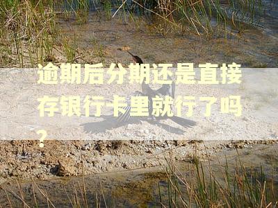 逾期后分期还是直接存银行卡里就行了吗? 逾期后分期还是直接存银行卡里就行了吗?