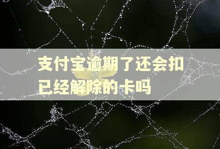 支付宝逾期了还会扣已经解除的卡吗