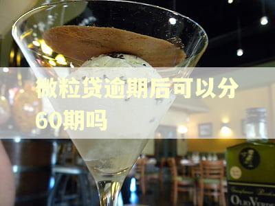 微粒贷逾期后可以分60期吗