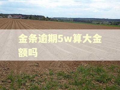 金条逾期5w算大金额吗