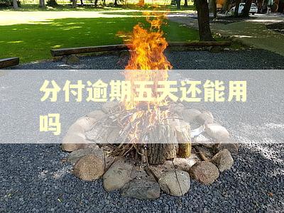 分付逾期五天还能用吗