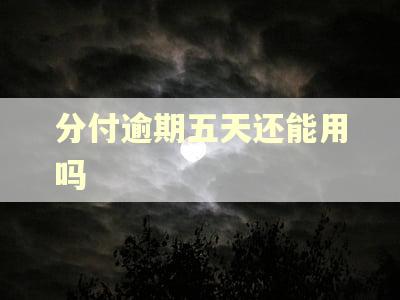 分付逾期五天还能用吗