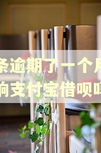 金条逾期了一个月会影响支付宝借呗吗