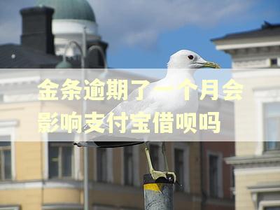 金条逾期了一个月会影响支付宝借呗吗