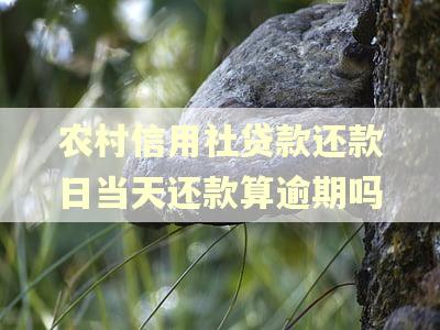 农村信用社贷款还款日当天还款算逾期吗 农村信用社贷款还款日当天还款算逾期吗
