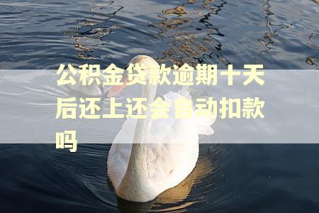 公积金贷款逾期十天后还上还会自动扣款吗