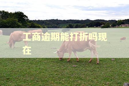 工商逾期能打折吗现在