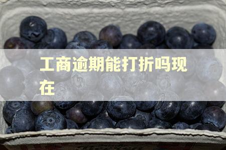 工商逾期能打折吗现在