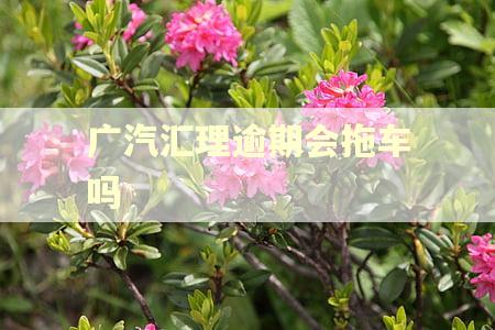 广汽汇理逾期会拖车吗