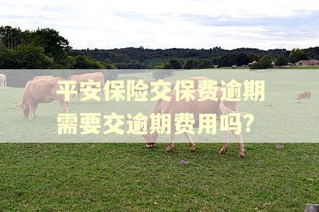 平安保险交保费逾期需要交逾期费用吗?