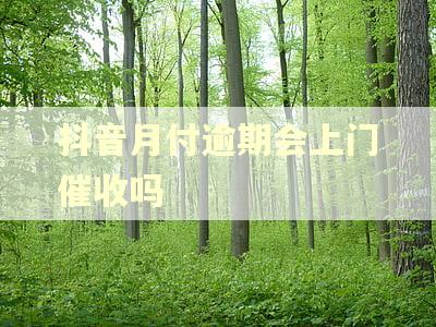 抖音月付逾期会上门催收吗