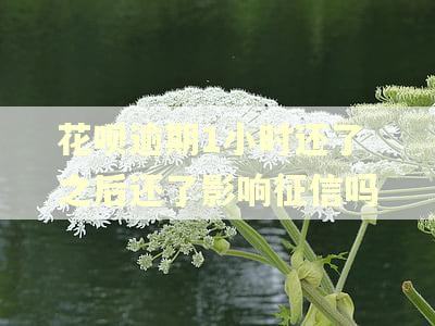 花呗逾期1小时还了之后还了影响征信吗