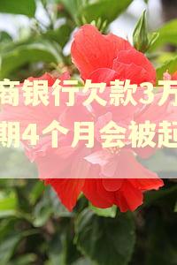 招商银行欠款3万多逾期4个月会被起诉吗