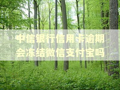中信银行信用卡逾期会冻结微信支付宝吗