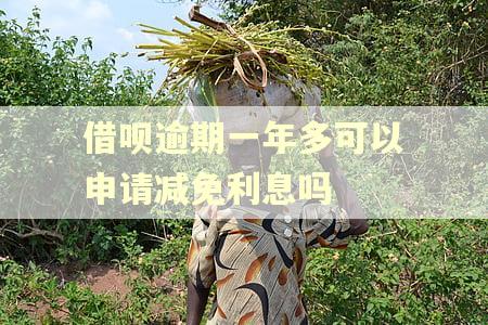 借呗逾期一年多可以申请减免利息吗