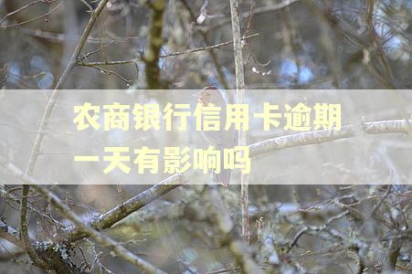 农商银行信用卡逾期一天有影响吗