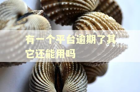 有一个平台逾期了其它还能用吗 有一个平台逾期了其它还能用吗