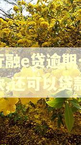 工行融e贷逾期一天还款,还可以贷款吗