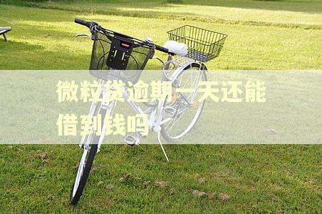微粒贷逾期一天还能借到钱吗