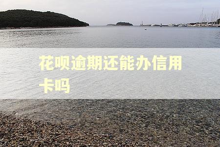 花呗逾期还能办信用卡吗