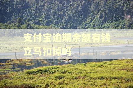 支付宝逾期余额有钱立马扣掉吗 支付宝逾期余额有钱立马扣掉吗