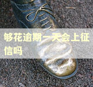 够花逾期一天会上征信吗