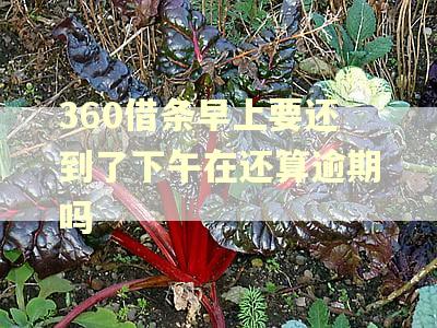 360借条早上要还到了下午在还算逾期吗