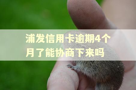 浦发信用卡逾期4个月了能协商下来吗