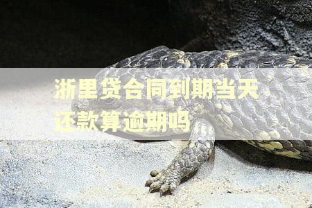 浙里贷合同到期当天还款算逾期吗