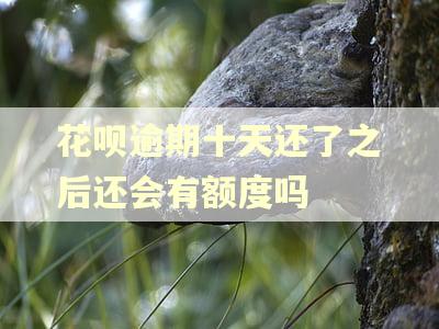 花呗逾期十天还了之后还会有额度吗 花呗逾期十天还了之后还会有额度吗