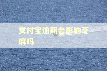支付宝逾期会影响芝麻吗