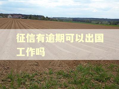 征信有逾期可以出国工作吗