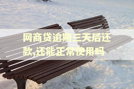 网商贷逾期三天后还款,还能正常使用吗