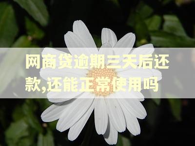 网商贷逾期三天后还款,还能正常使用吗