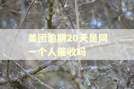 美团逾期20天是同一个人催收吗