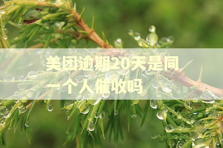 美团逾期20天是同一个人催收吗