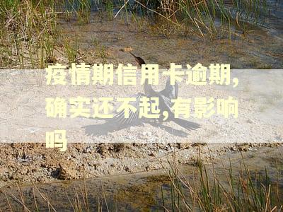 疫情期信用卡逾期,确实还不起,有影响吗