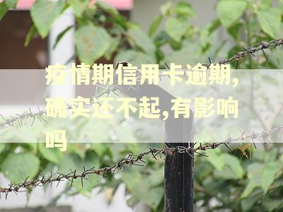 疫情期信用卡逾期,确实还不起,有影响吗