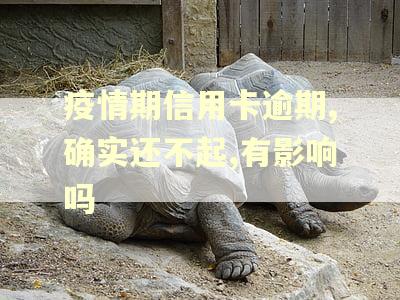疫情期信用卡逾期,确实还不起,有影响吗 疫情期信用卡逾期,确实还不起,有影响吗