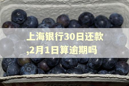 上海银行30日还款,2月1日算逾期吗 上海银行30日还款,2月1日算逾期吗
