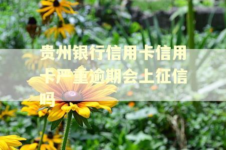 贵州银行信用卡信用卡严重逾期会上征信吗 贵州银行信用卡信用卡严重逾期会上征信吗